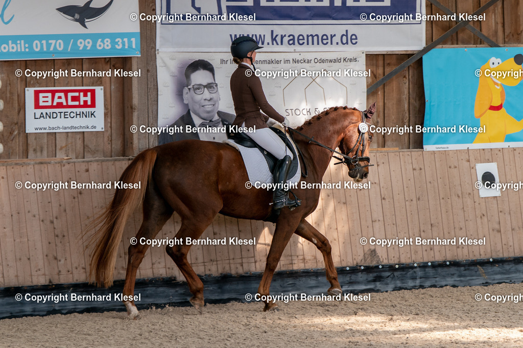 2A900557 | foto-team-bernhard - Realisiert mit Pictrs.com