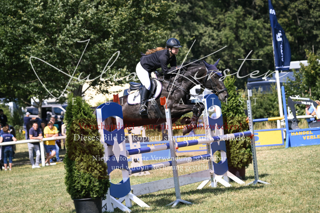 DSC_0505 | Pferde- und Turnierfotografie in Westsachsen. Pferdeportraits, Auftragszeichnungen und intuitive Kunst.