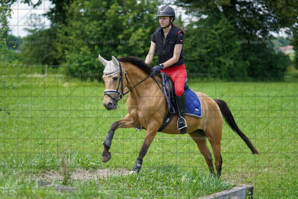 20240622-FAH07405 | Turnierfotografen Bayern, Reitsportbilder aus dem Geländekurs mit Felix Etzel auf dem Gut Waitzacker 2024