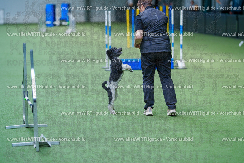 @allesWIRTHgut_Tierfotografie - www.allesWIRTHgut.de - 2604261339-7R502385 | Professionelle Tierfotografie in Mönchengladbach von Daniel Wirth (allesWIRTHgut). Liebevolle & natürliche Bilder von Hunden & Katzen für unvergessliche Erinnerungen.