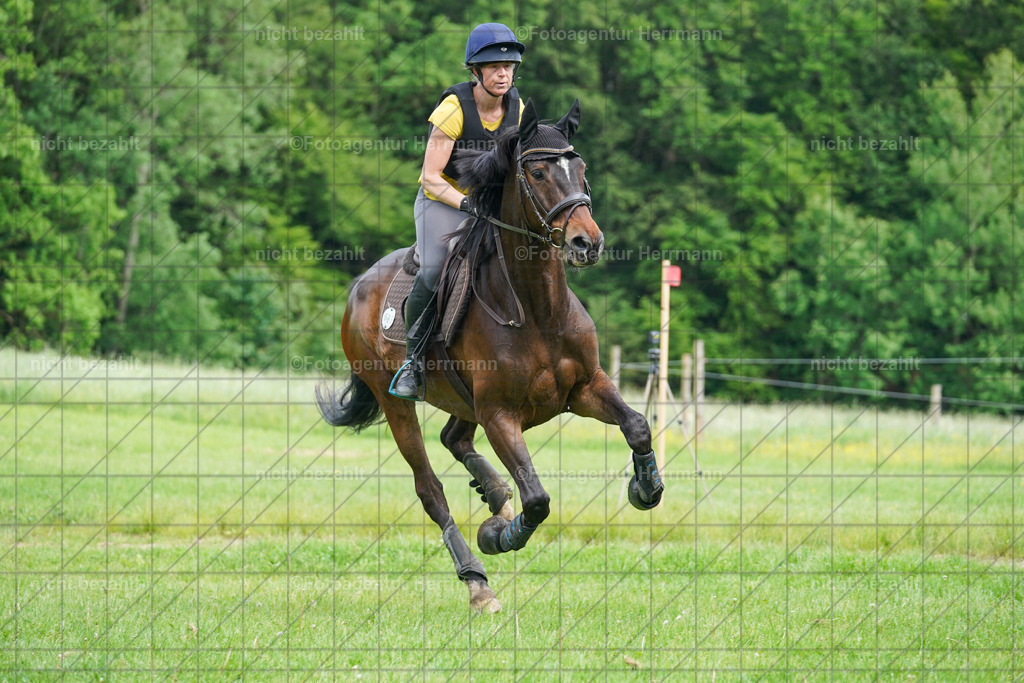 20240518-FAH04030 | Turnierbilder von Niederseon, Turnierfotografen Bayern, Fotoagentur Herrmann, Geländebilder, Reitsportfotografie