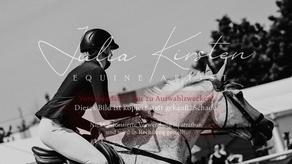 DSC_0260 | Pferde- und Turnierfotografie in Westsachsen. Pferdeportraits, Auftragszeichnungen und intuitive Kunst.
