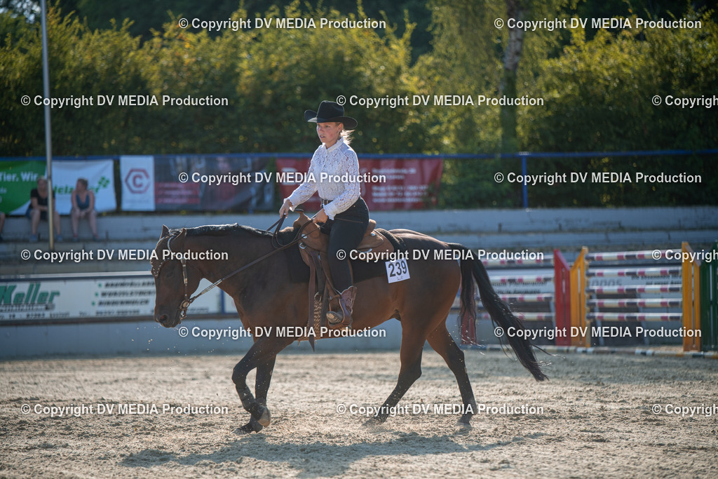 EWP_7083 | dv-media-shop - Realisiert mit Pictrs.com