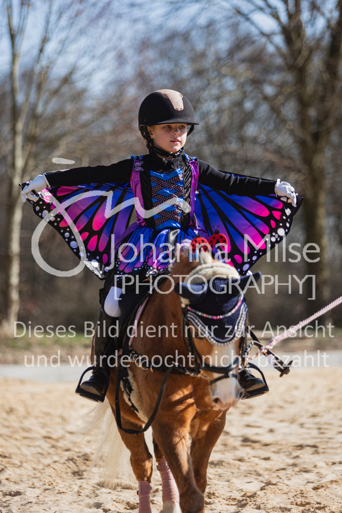 250316_HF-Schwm_Fuehrzuegel-102 | Deine schönsten Turniermomente als professionelle Fotos! Entdecke hochwertige Pferdesport-Fotografie im Online-Shop. Jetzt Fotos finden & bestellen!