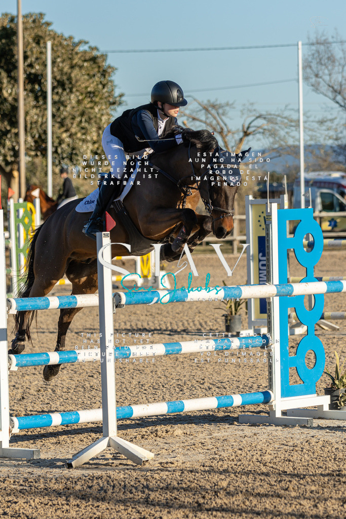 IMG_2464 | s-jay-photography - Realisiert mit Pictrs.com