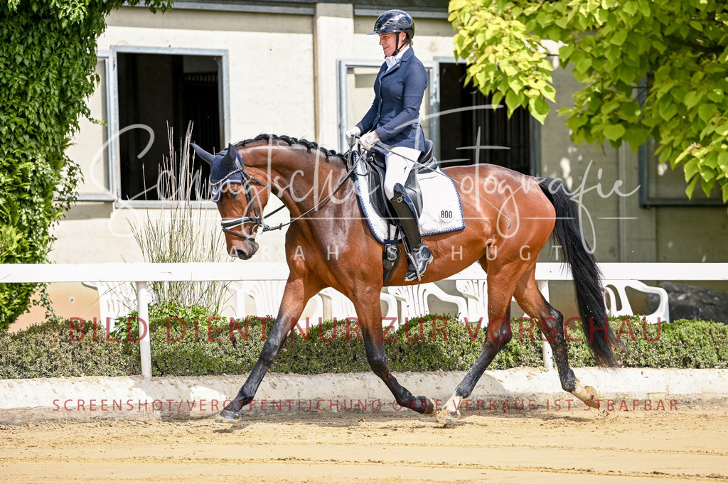 Schugtsche-Aluta25-48.Reitpferfdeprf.-24 | Schugtsche Fotografie - Realisiert mit Pictrs.com