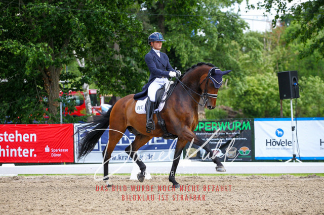DKP41441 | Turnierfotos kaufen im Webshop von Daniel Kuhl Photography – entdecke professionelle Reitsportfotos aus Turnieren & Events. Hochwertige Turnierbilder online bestellen & sichern. Jetzt Fotos von Reitsportturnieren kaufen!
