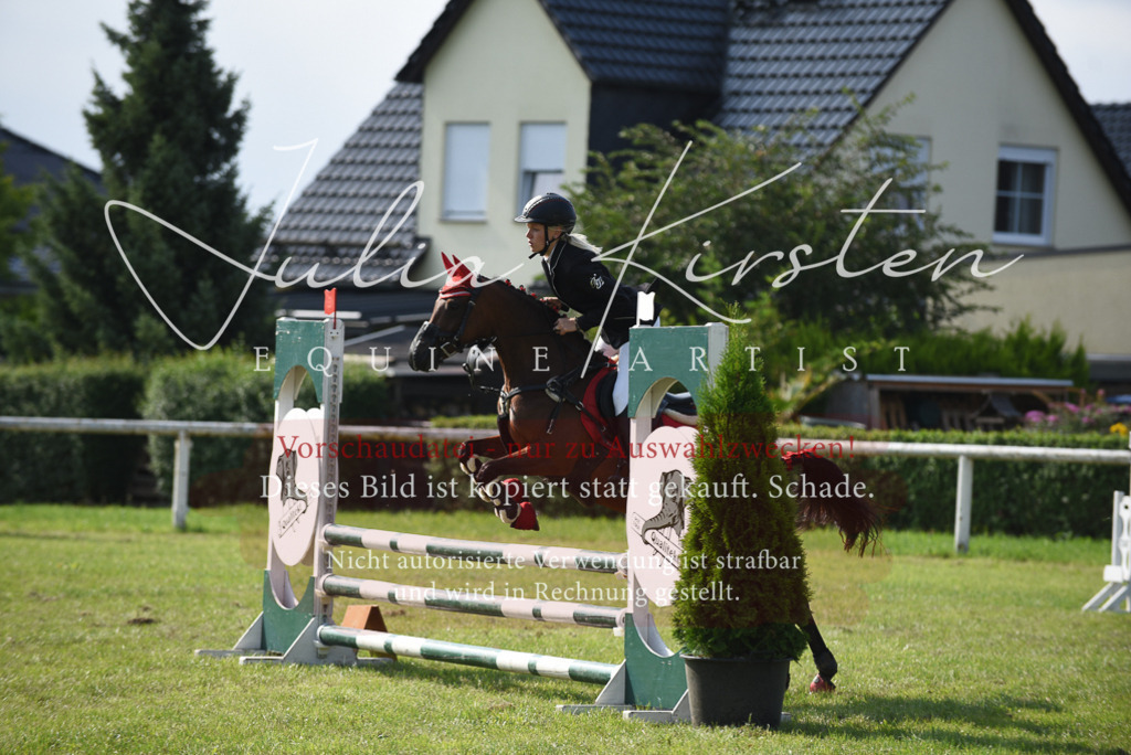 DSC_8954 | Pferde- und Turnierfotografie in Westsachsen. Pferdeportraits, Auftragszeichnungen und intuitive Kunst.