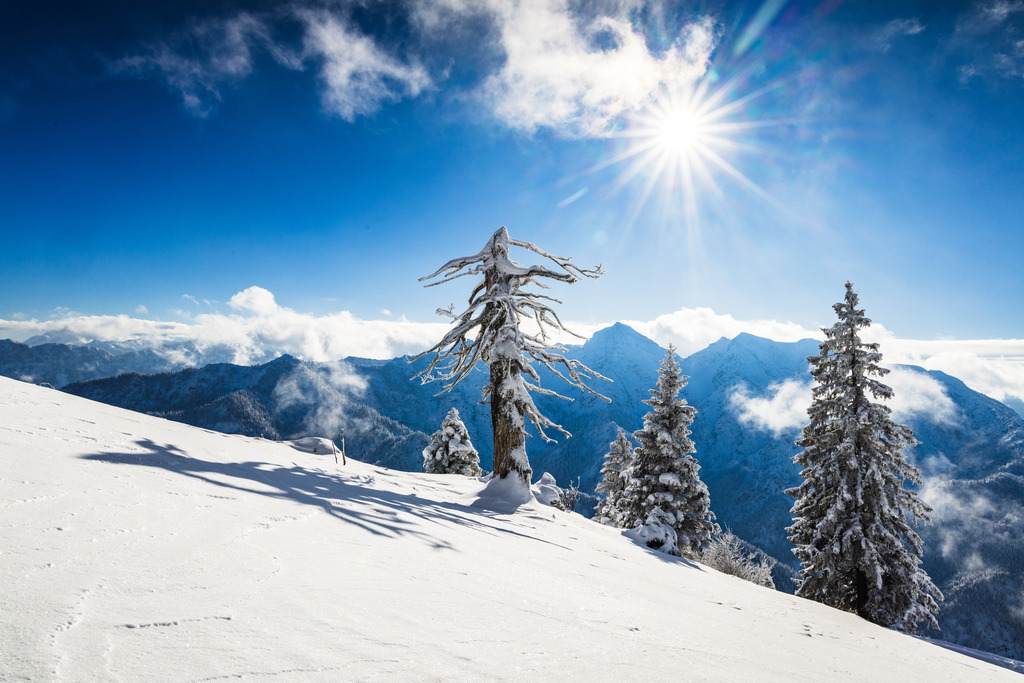 GT2A4289 | ap-design // andreas plenk - Realisiert mit Pictrs.com