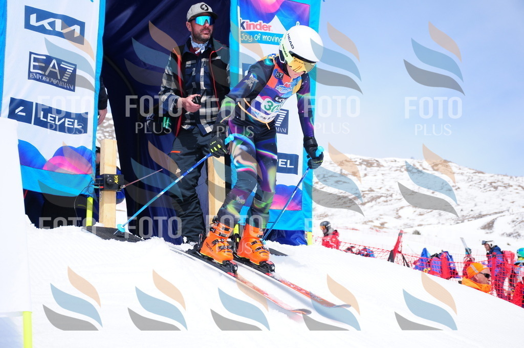 DSC_2930 | holidayphoto