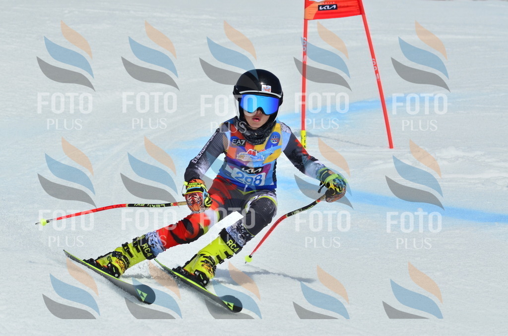 _ELE2159 | holidayphoto