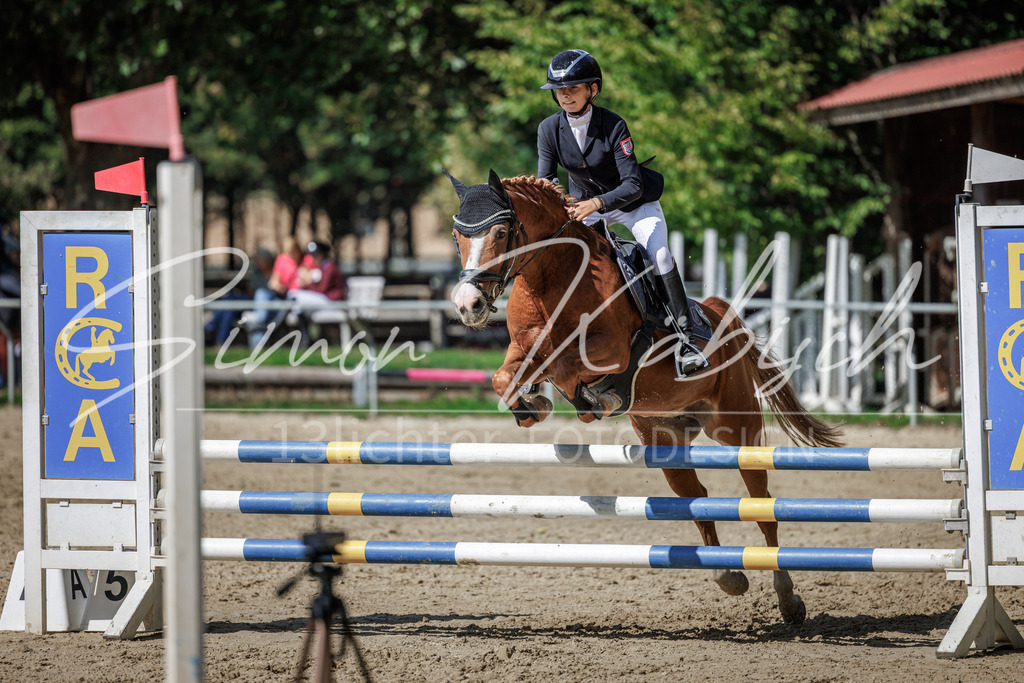20260905-_3LI9378 | Tierfotografie Pferde, Hunde, Katzen, Haustiere.
Turnierfotografie Reitturniere, Reiten, Springreiten, Dressur in Hanau, dem Main-Kinzig-Kreis und dem Rhein-Main- Gebiet um Frankfurt