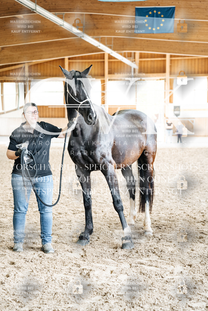 CK703292 | Turnierfotografie Pferdefotografie Trier Rheinland-Pfalz Pferdesport Reitsport Tierfotografie Sportfotografie Pferdevideo Pferdevideografie Equestrianvideography equestrianphotography  - Realisiert mit Pictrs.com