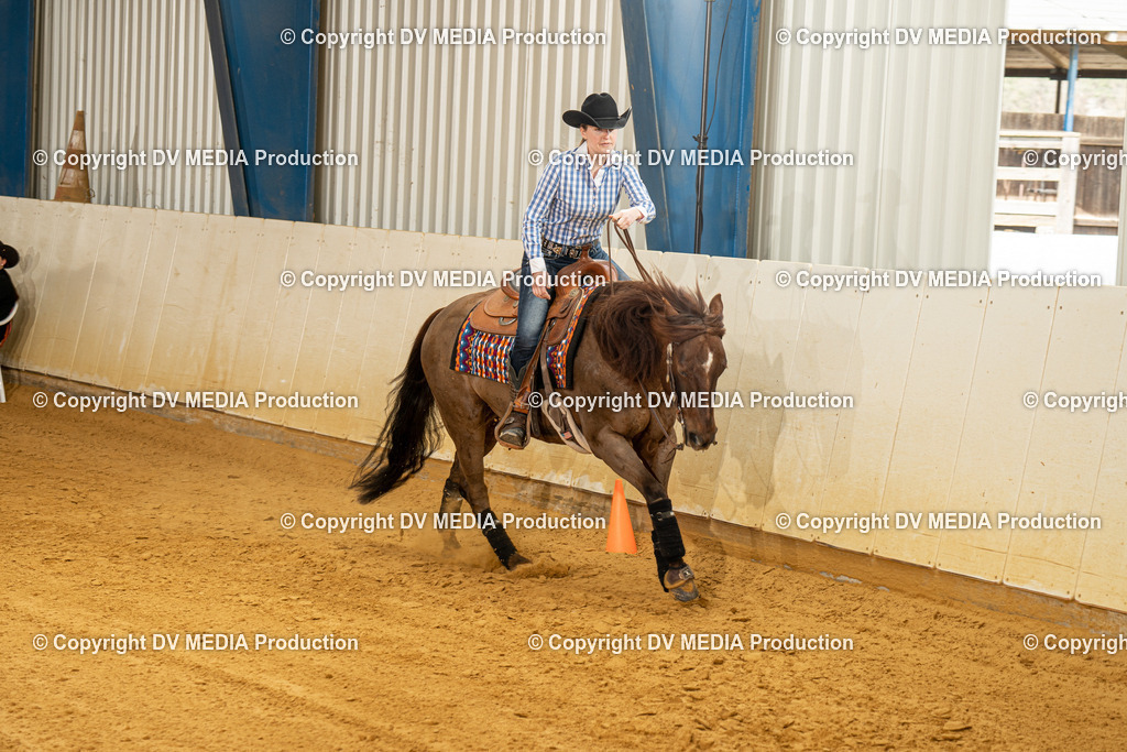 MIT00276 | dv-media-shop - Realisiert mit Pictrs.com