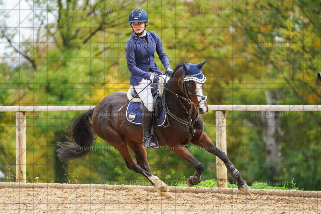 20221009-FAH08633 | Diessen am Ammersee, 2022, Dressur- und Springturnier, Reitsportbilder, Turnierfotografen Bayern, Pferdefotografen, Fotoagentur Herrmann, Turnierbilder