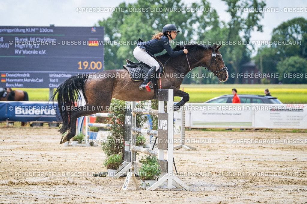 DSC04511 | Pferdegrafie