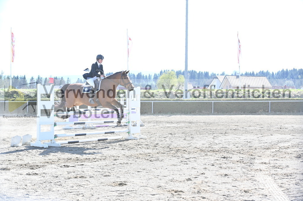 DSC_5980 | equestrian-live-com
