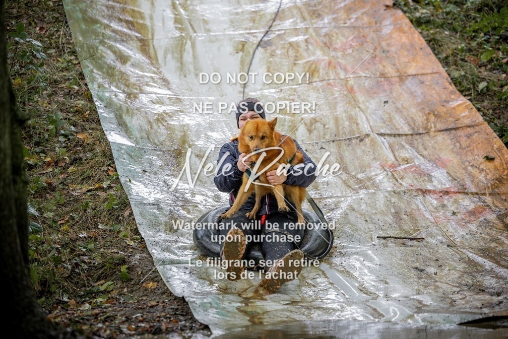 nelerasche_Hunsrück_Sa1430-1500_236-final | nelerasche