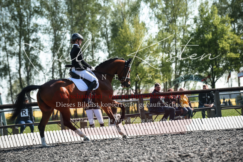 DSC_8683 | Pferde- und Turnierfotografie in Westsachsen. Pferdeportraits, Auftragszeichnungen und intuitive Kunst.