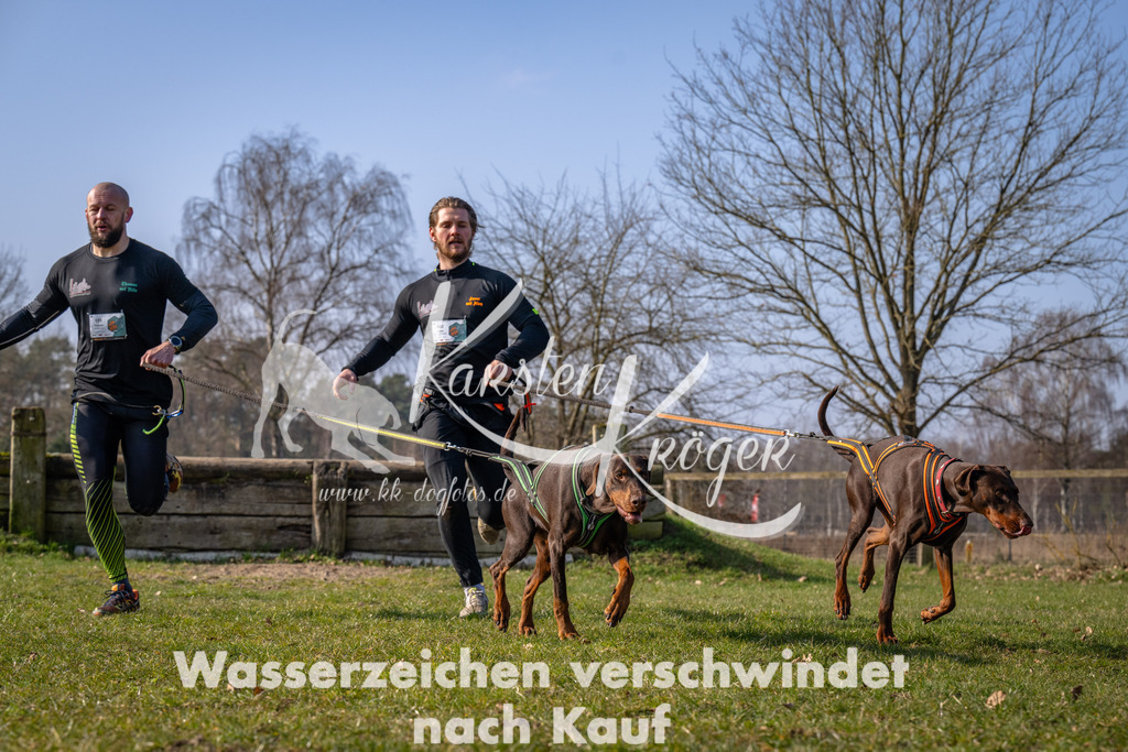 _ZZ90344 | kk-dogfotos