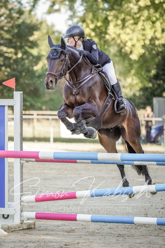 20250906-_3LI3029 | Tierfotografie Pferde, Hunde, Katzen, Haustiere.
Turnierfotografie Reitturniere, Reiten, Springreiten, Dressur in Hanau, dem Main-Kinzig-Kreis und dem Rhein-Main- Gebiet um Frankfurt