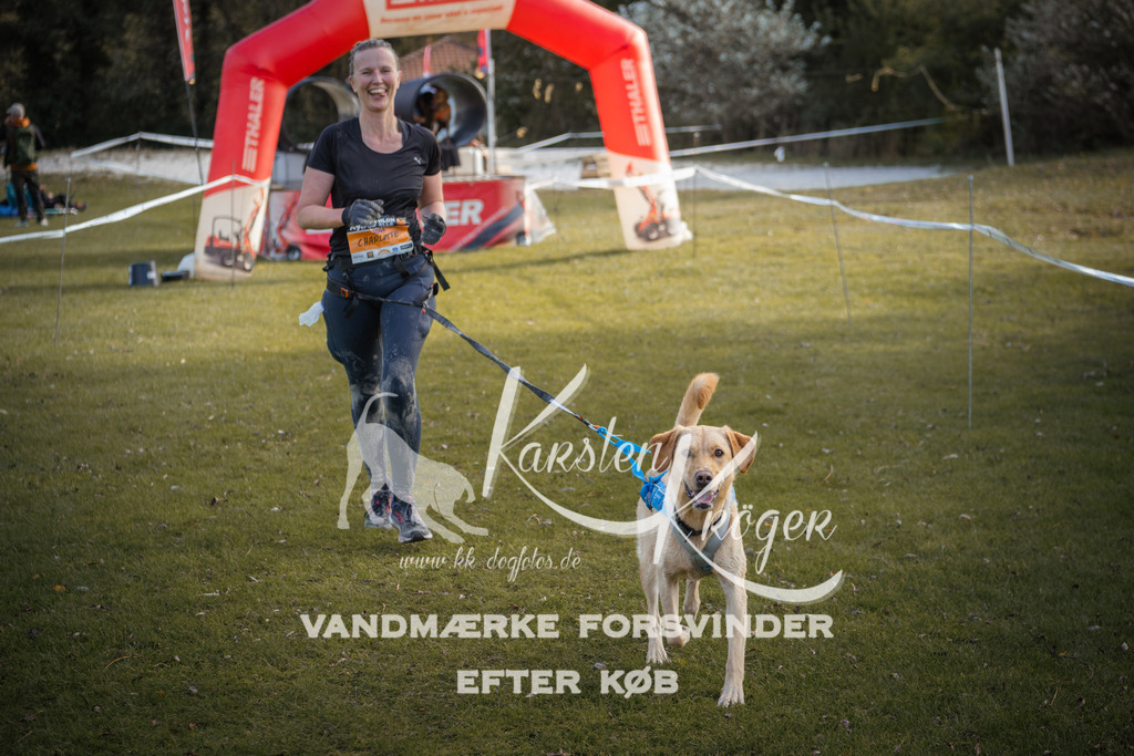 1313_ZZ99627-2 | kk-dogfotos