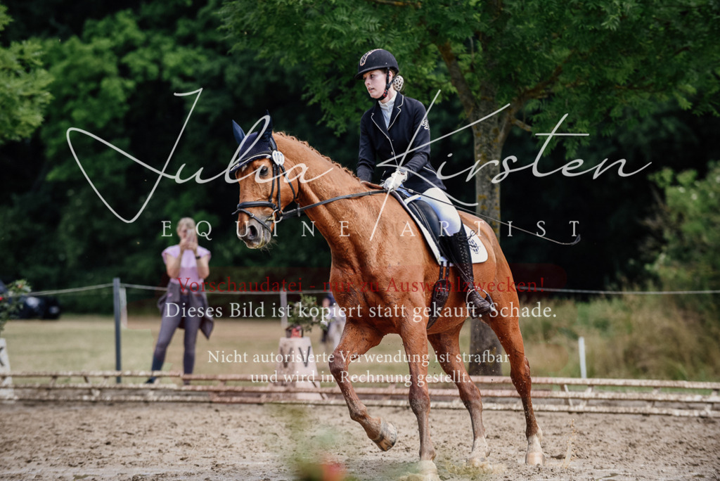 DSC_1584 | Pferde- und Turnierfotografie in Westsachsen. Pferdeportraits, Auftragszeichnungen und intuitive Kunst.