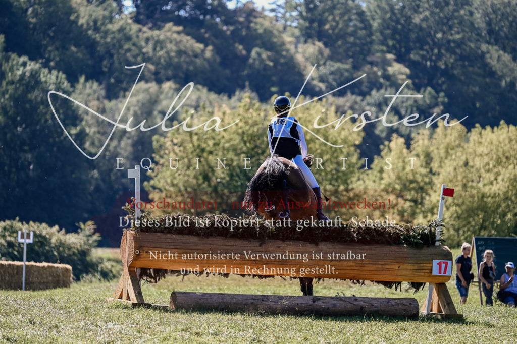 DSC_1326 | Pferde- und Turnierfotografie in Westsachsen. Pferdeportraits, Auftragszeichnungen und intuitive Kunst.