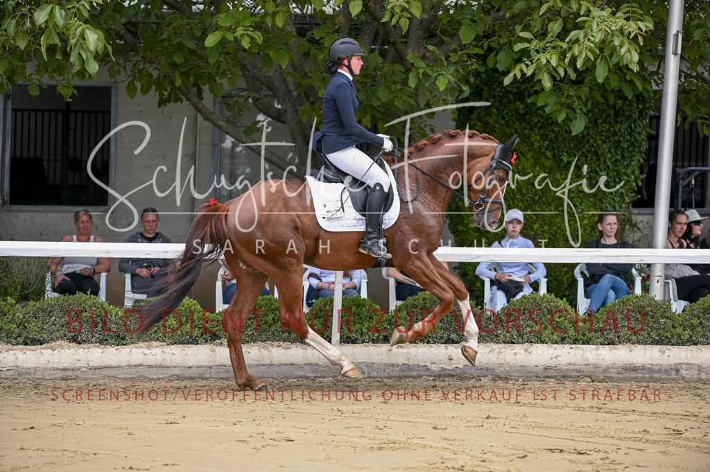 Schugtsche-Aluta25-48.Reitpferfdeprf.-164 | Schugtsche Fotografie - Realisiert mit Pictrs.com