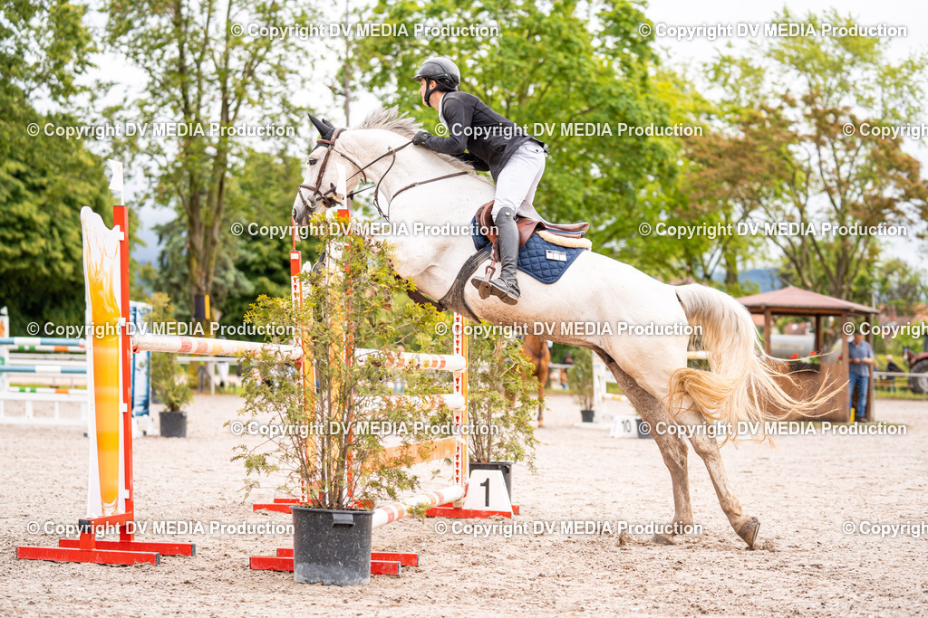 Eppelheim Tag 3-47 | dv-media-shop - Realisiert mit Pictrs.com