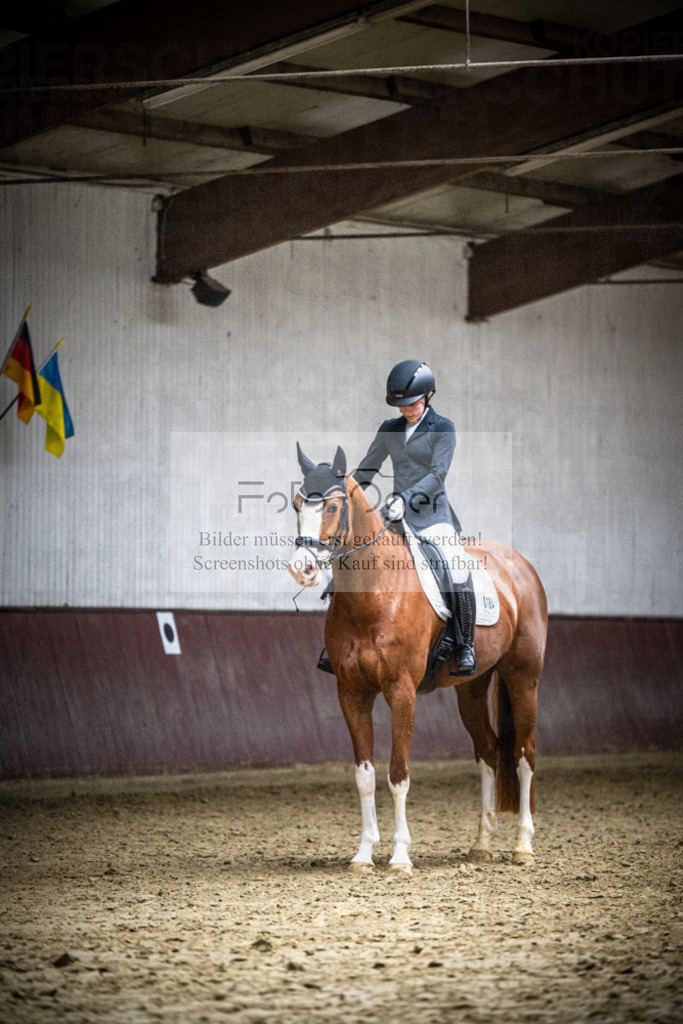 DOS_0624 | Reitturnier Lüdinghausen - Realisiert mit Pictrs.com