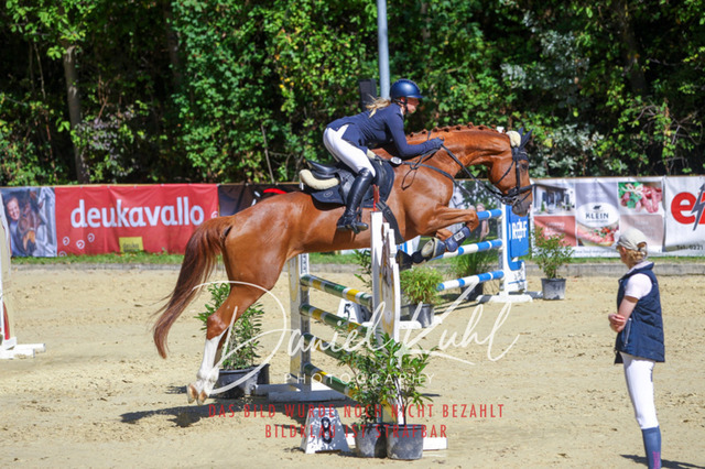 DKP43174 | Deine Turnierfotos vom Reitturnier online kaufen: Dressur, Springen & Siegerehrung. Professionelle Pferdefotografie aus dem Rheinland – als Download & Print.Alternative: Turnierfotograf für den Pferdesport: Finde deine Fotos von Dressur- und Springturnier