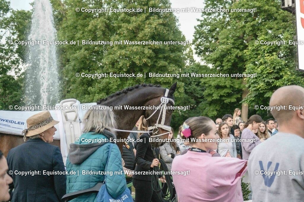 20230527_Voltigieren_NASPA_Flutlicht_0119 | equistock