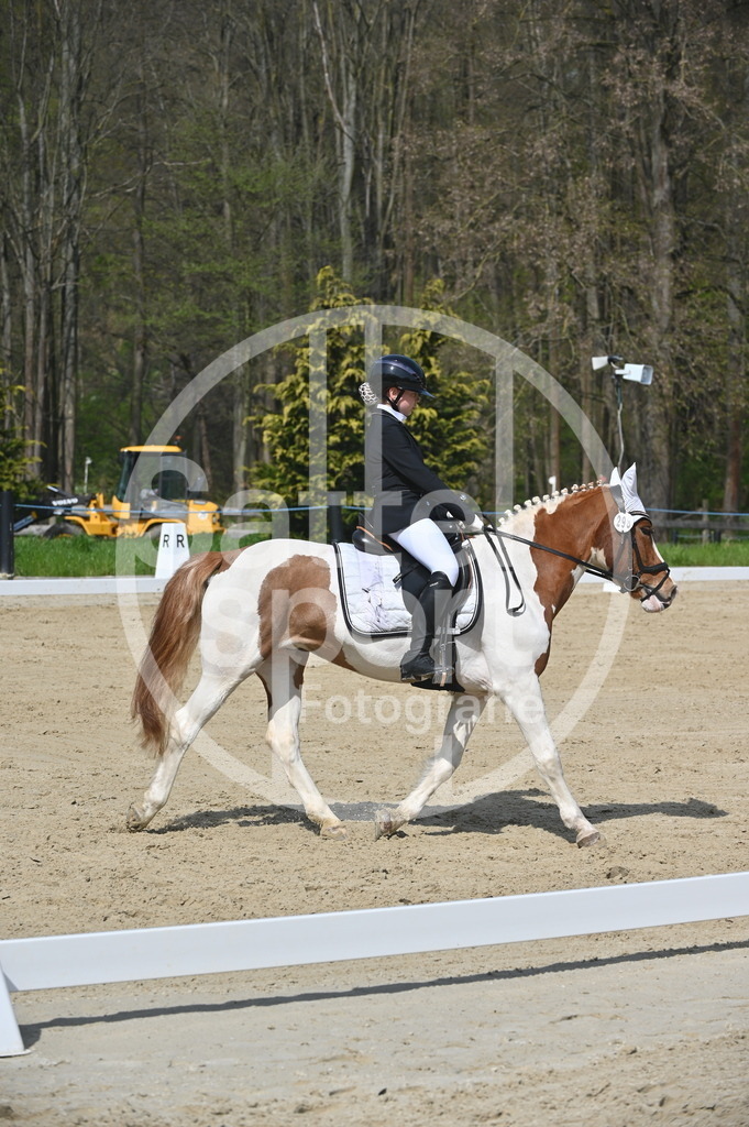 DSC_1005 | sattelsport - Realisiert mit Pictrs.com