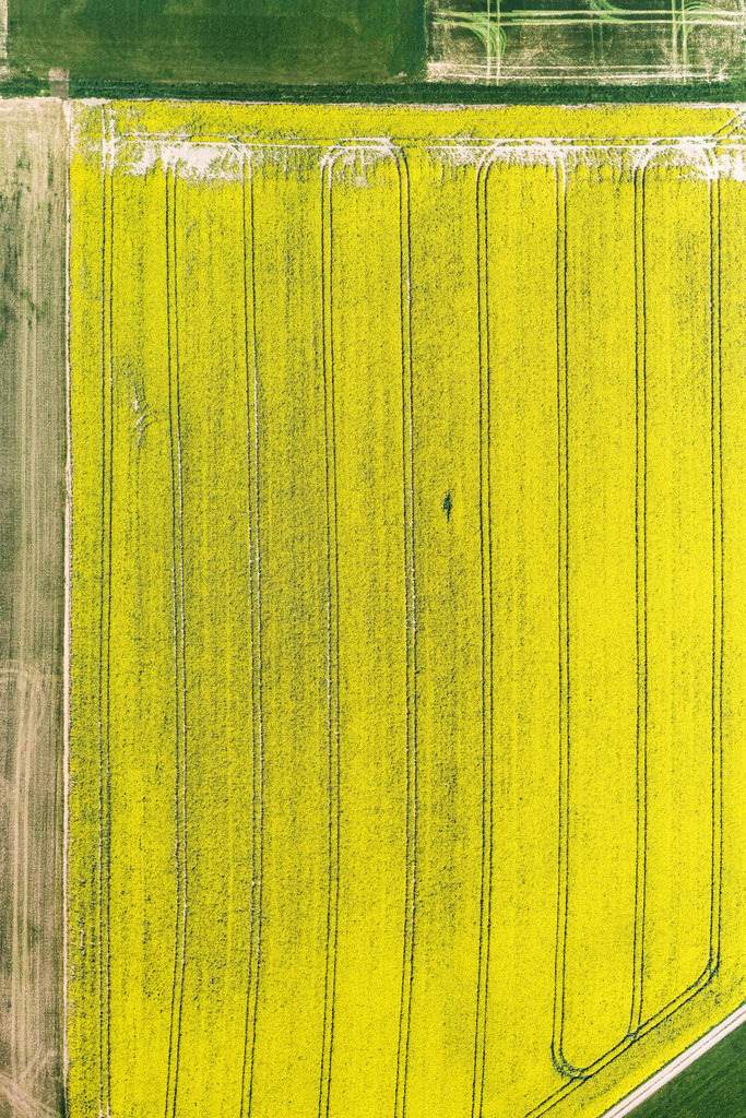 dr__0096086.jpg | FREIHUNG 11.05.2022 Senkrecht- Luftbild aus der Satelliten- Perspektive vom Feld- Landschaft gelb blühender Raps- Blüten an der Straße Ölweg in Freihung im Bundesland Bayern, Deutschland.