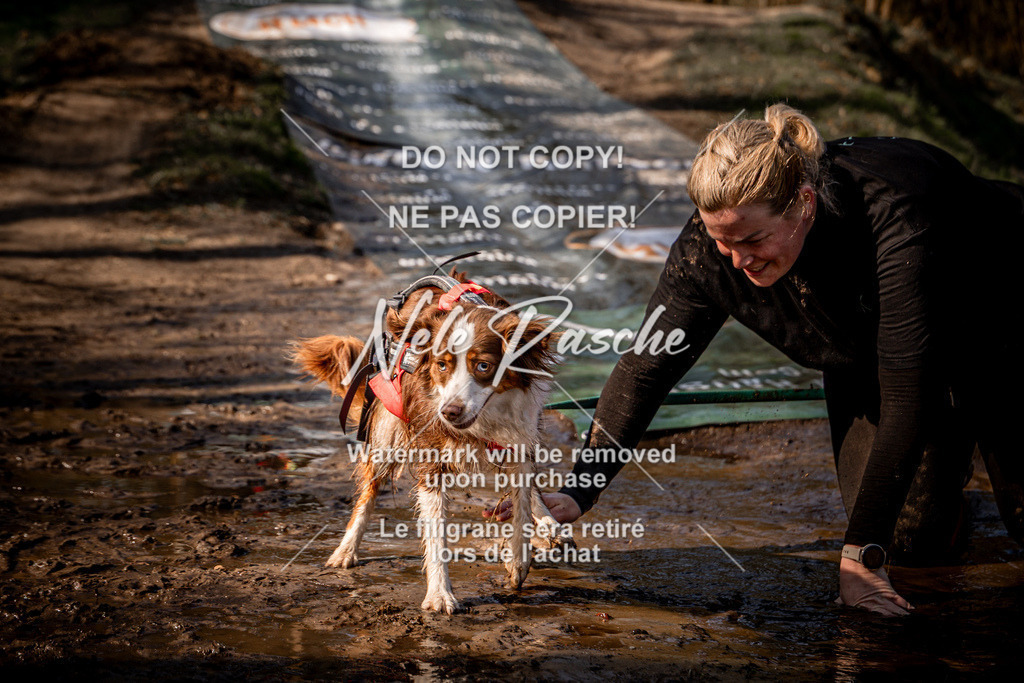 nelerasche_Hulsbeek_So1030-1100_311 | nelerasche