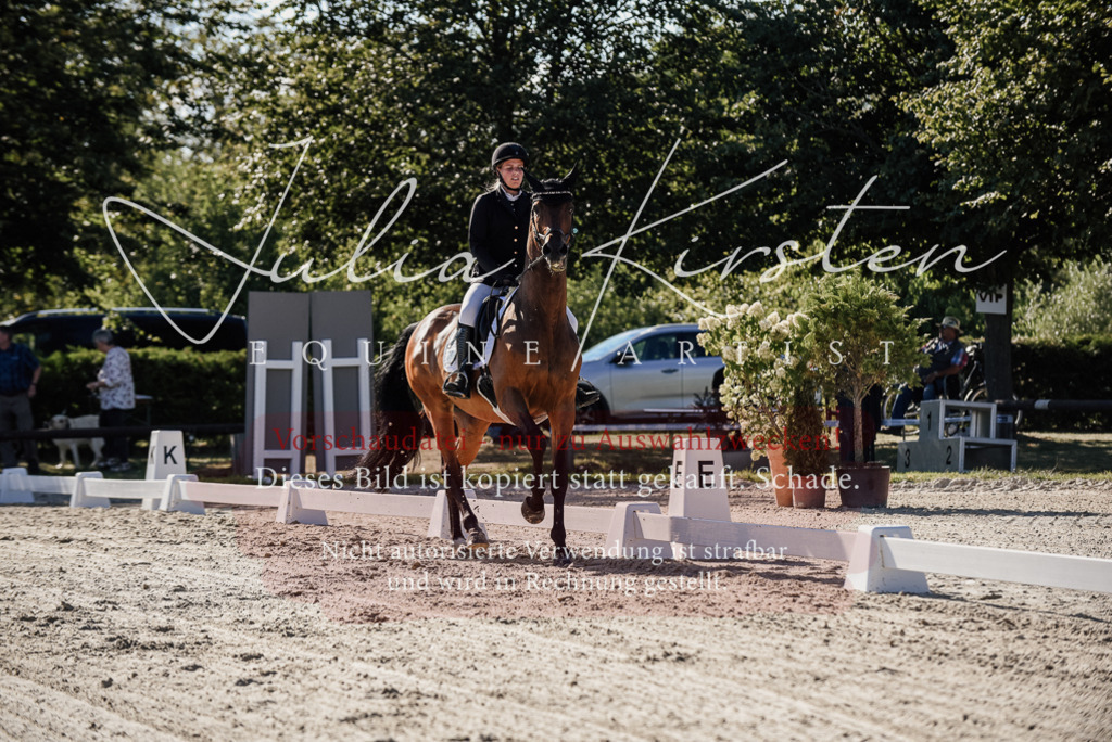 DSC_0321 | Pferde- und Turnierfotografie in Westsachsen. Pferdeportraits, Auftragszeichnungen und intuitive Kunst.