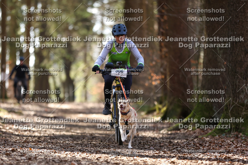 Dog Paparazzi - VCC26-1417 | Dog Paparazzi Jeanette Grottendiek Fotografie & Videografie - Realisiert mit Pictrs.com