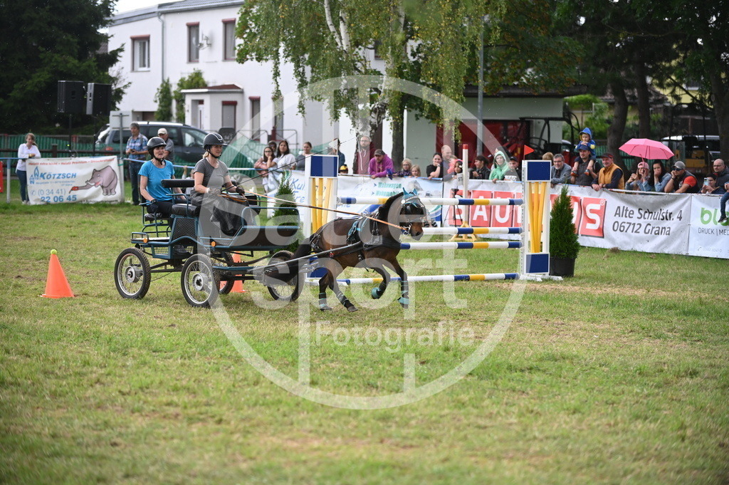 DSC_8610 | sattelsport - Realisiert mit Pictrs.com