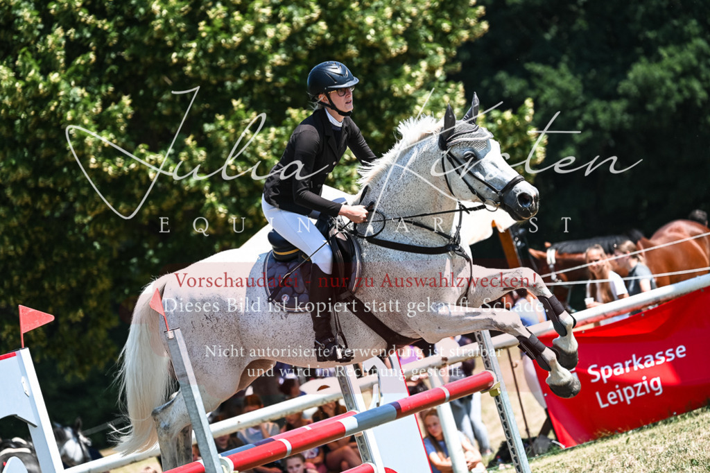 DSC_0255 | Pferde- und Turnierfotografie in Westsachsen. Pferdeportraits, Auftragszeichnungen und intuitive Kunst.
