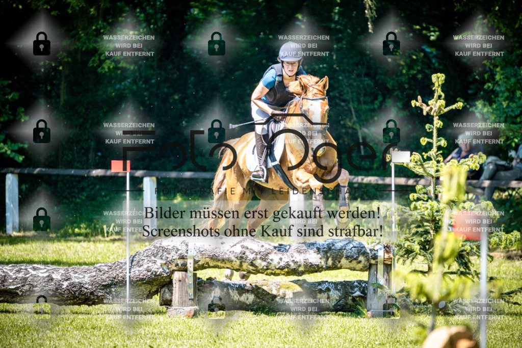 2026-05 - Melle Oldendorf-1-0034 | Entdecke hochwertige Reitturnierfotos von Foto Oger. Professionell, emotional und authentisch – jetzt Lieblingsmomente im Shop bestellen.Deutschlandweite Turnierfotografie. - Realisiert mit Pictrs.com