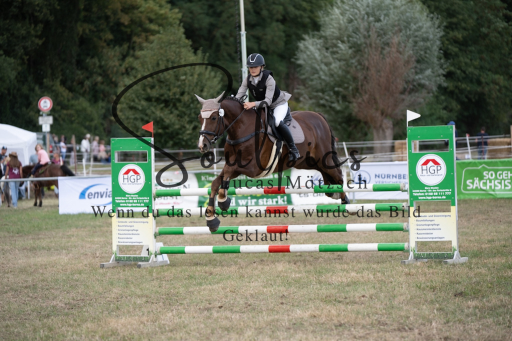 A7V09471 | Pferdefotograf