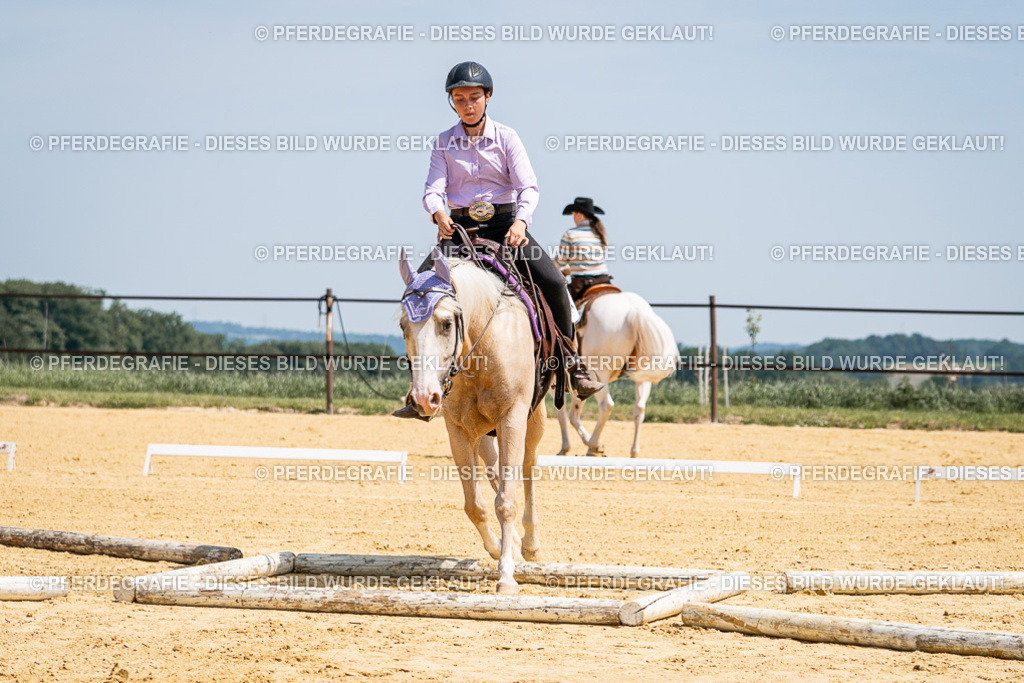 DSC01116 | Pferdegrafie