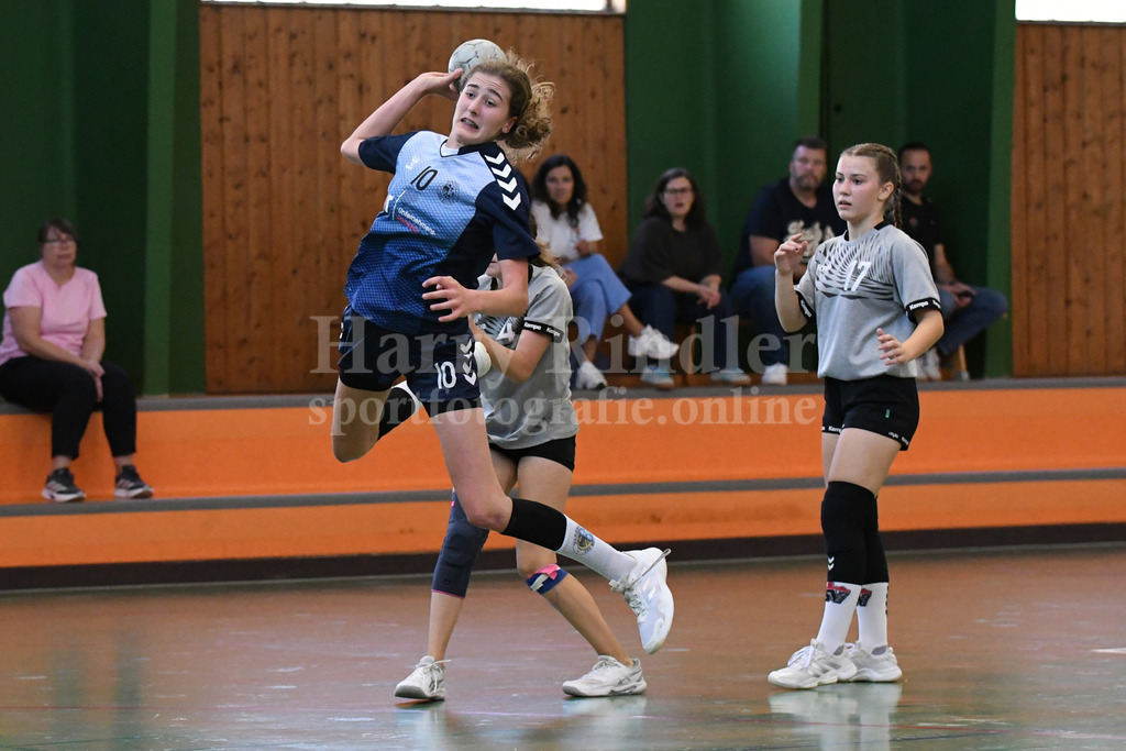 SSG Metten Handball Nachwuchs | SSG Metten weibliche C-Jugend im Spiel gegen den   TSV Roßtal - Realisiert mit Pictrs.com