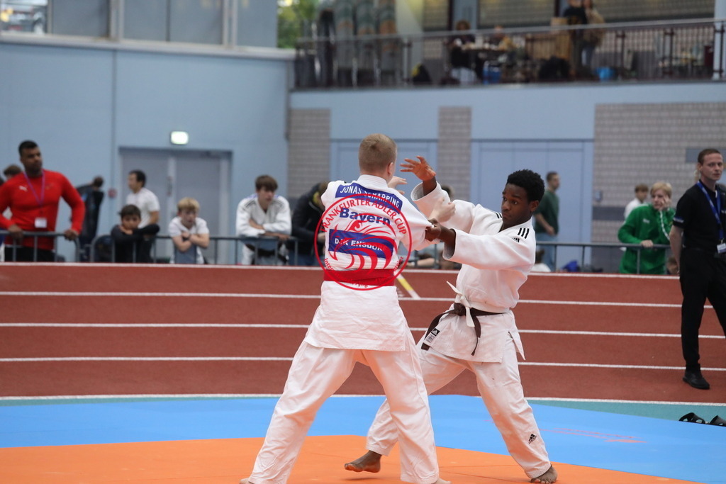 1J7A3585 | Fotos vom Adler Cup - Pictures from Adler Cup

Hier findet Ihr alle Eindrücke und großen Momente der Adler Cup Wochenenden. Here you will find all impressions and great moments of the Adler Cup weekends. - Realisiert mit Pictrs.com