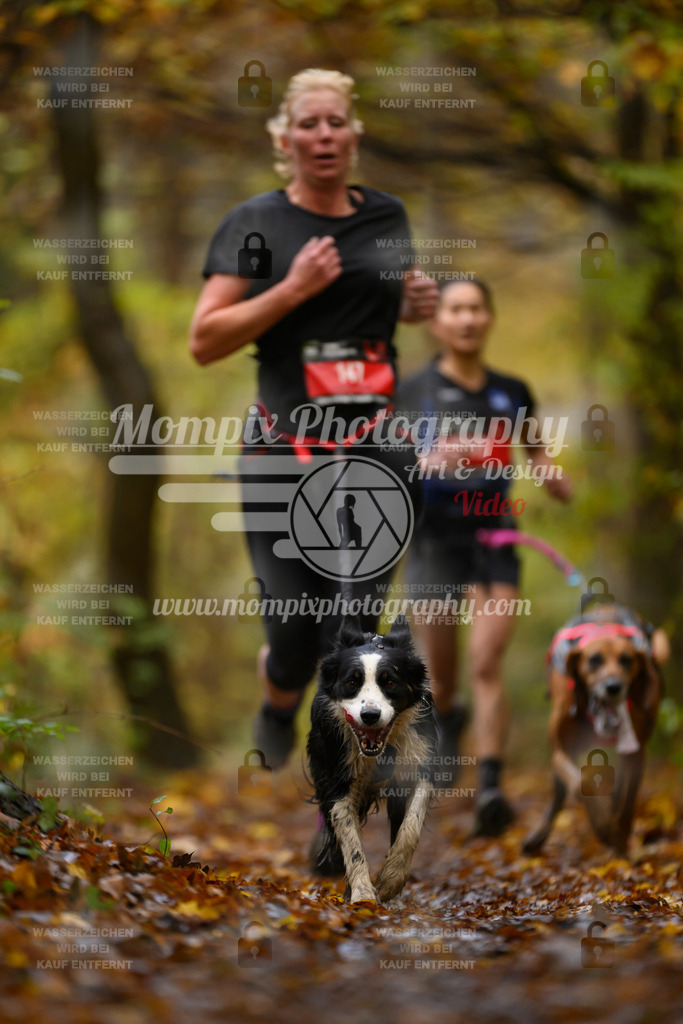 MompixPhotography_CD7S_DI_CCL-138 | mompixphotography