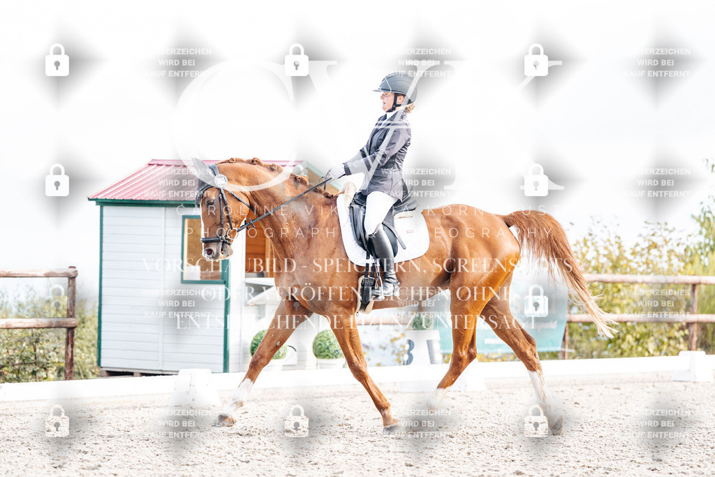 CK901351 | Turnierfotografie Pferdefotografie Trier Rheinland-Pfalz Pferdesport Reitsport Tierfotografie Sportfotografie Pferdevideo Pferdevideografie Equestrianvideography equestrianphotography  - Realisiert mit Pictrs.com