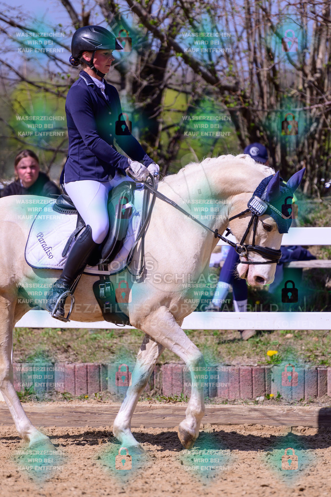 11042026-Mammendorf-Prfg31-1-0169 | Fokus Hufschlag Fotografie - Realisiert mit Pictrs.com