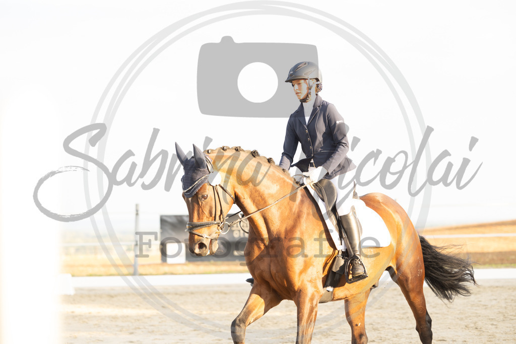 994A0192 | sabrinanicolaifotografie - Realisiert mit Pictrs.com