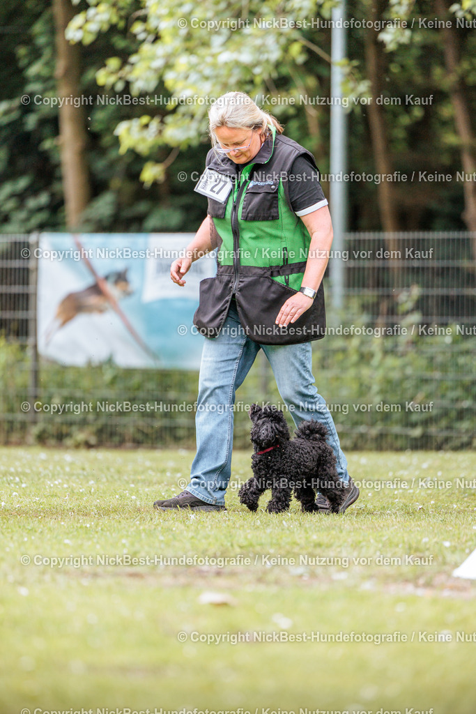 RO-Blumenthal-2026-Nickbest-Hundefotografie-3187 | Dein Hund! Dein Moment! Deine Erinnerungen! Hundefotografie in Bremen Blumenthal. Ich fange die besonderen Momente deines Vierbeiners ein – ob Indoor mit Blitzanlage oder in der freien Natur. Sicher dir dein Moment und dein Termin für eure Erinnerungen.